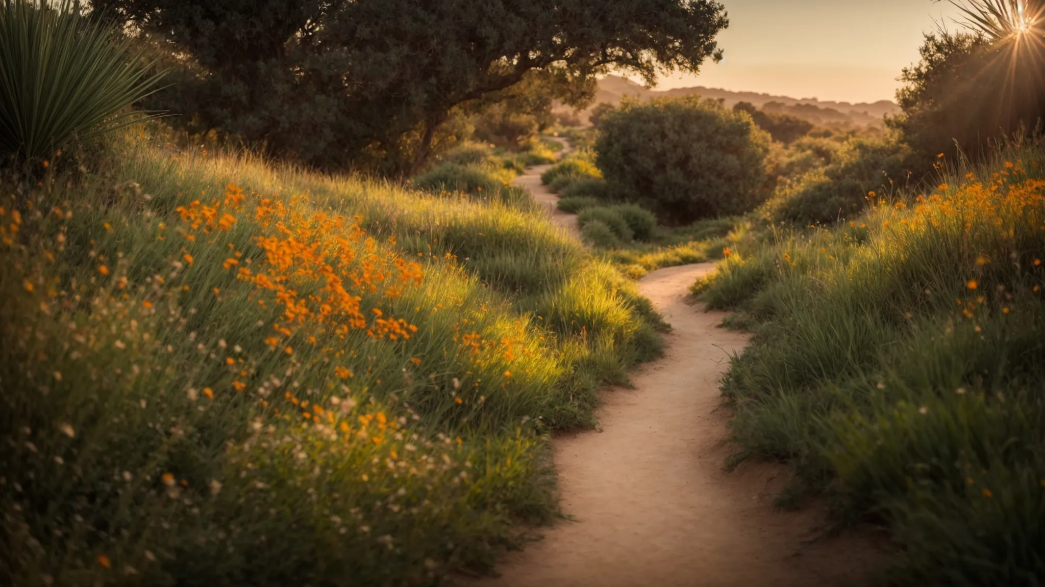 a serene, sunlit pathway meanders through a lush green landscape in orange county, symbolizing a journey towards safe and sustainable weight loss, with vibrant wildflowers lining the path to evoke hope and renewal.